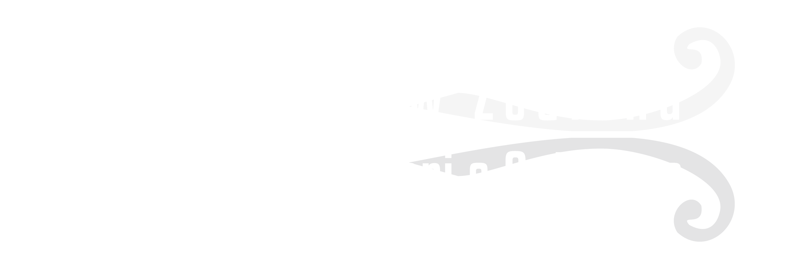 National Logo for Black Background