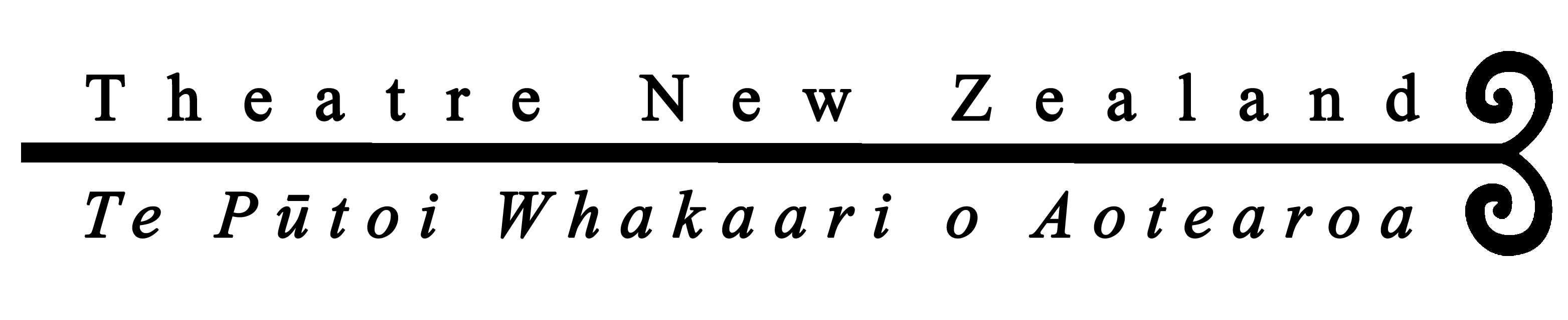 2019 TNZ Footer Black 2